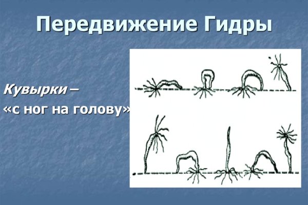 Можно вывести деньги с кракена