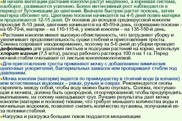 Кракен маркетплейс официальный сайт