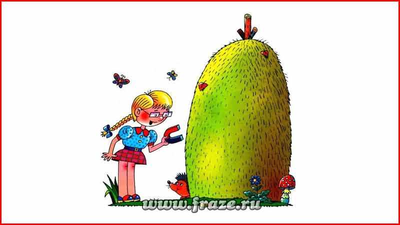Не могу зайти на кракен