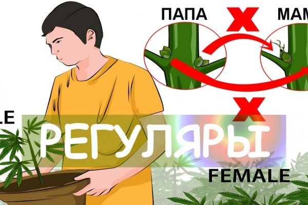 Кракен современный даркнет маркет плейс
