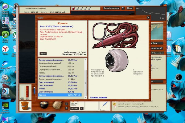 Kraken 17 at net