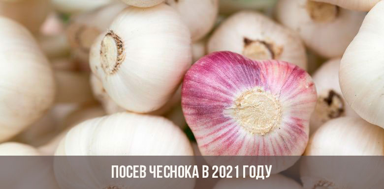 Кракен 15 ссылка