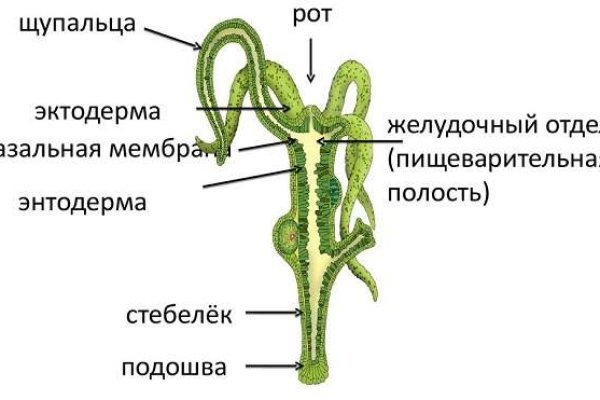 Блэкспрут зеркало кракен